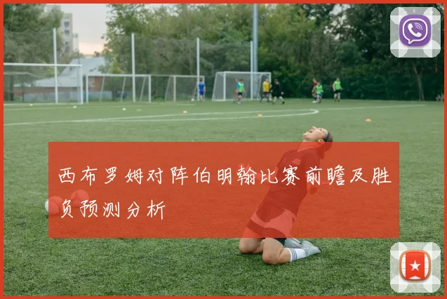 西布罗姆对阵伯明翰比赛前瞻及胜负预测分析