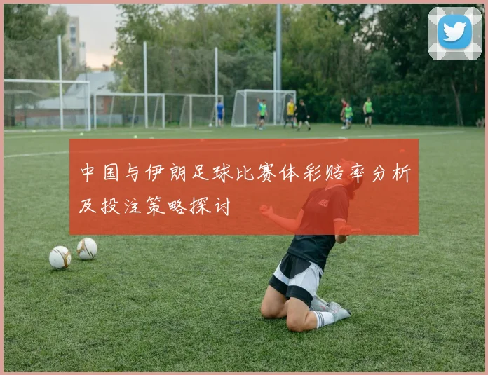中国与伊朗足球比赛体彩赔率分析及投注策略探讨