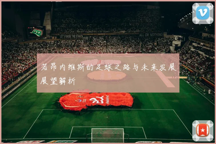 若昂内维斯的足球之路与未来发展展望解析